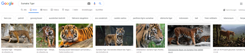 Ergebnis der Google Bildersuche zu Sumatra Tiger, der WWF ist ganz vorne mit dabei