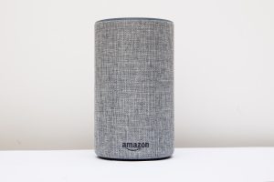Amazon Alexa in Grau