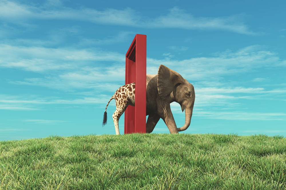 Veränderung, einer Giraffe geht durch eine Tür und wird zu einem Elefanten