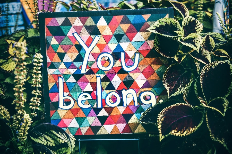 Ein Bildschirm zwischen Pflanzen, auf dem "You belong" steht