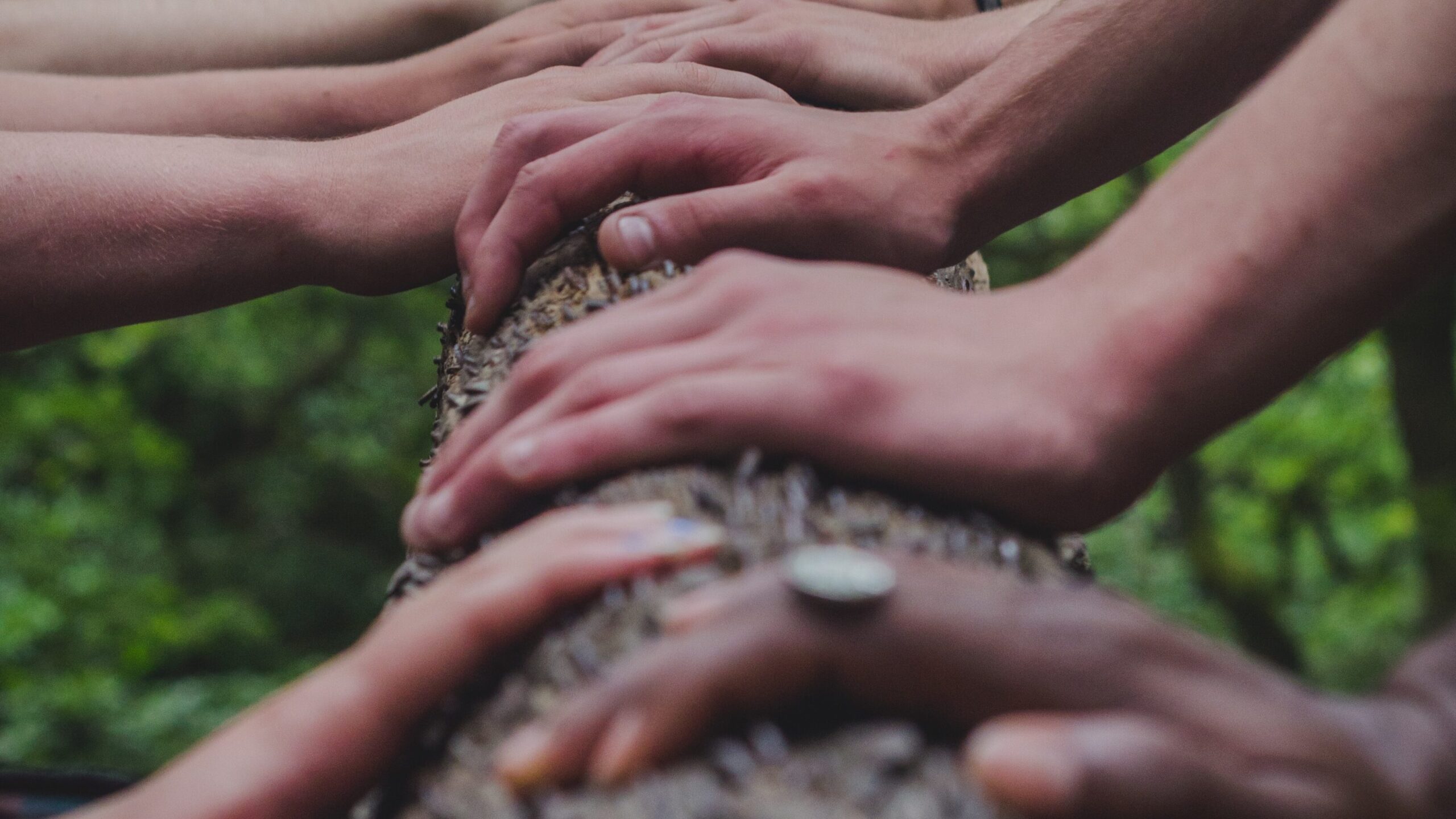 Mehrere Hände halten einen Baumstamm gemeinsam
