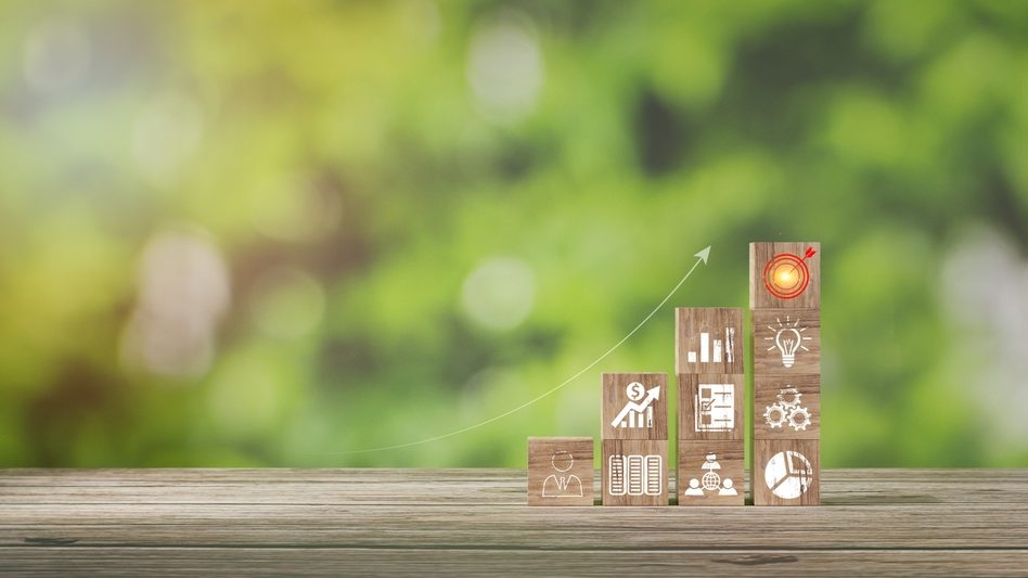 Holzwürfel mit Symbolen, die Capacity Building darstellen