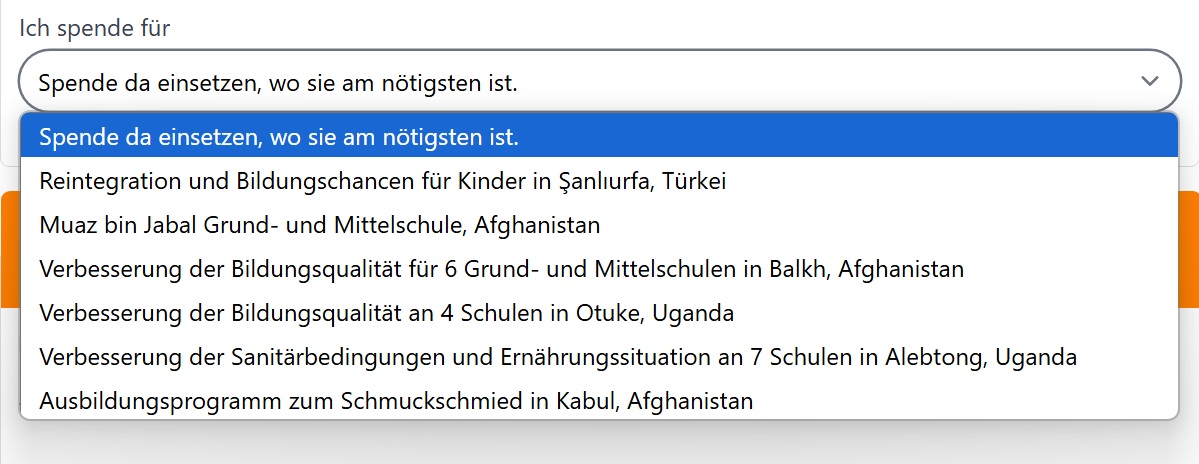Projektspende Visions for Children