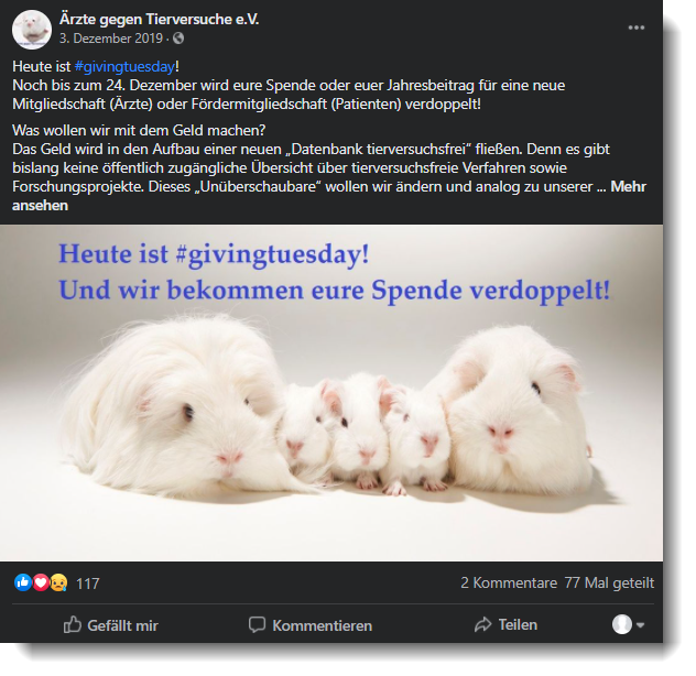 Facebook Posting mit Meerschweinchen zum Giving Tuesday von Ärzte gegen Tierversuche e.V.